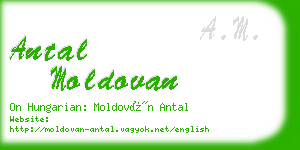 antal moldovan business card